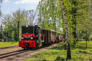 kolej wąskotorowa (WLT)