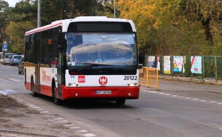 Dwie nowe linie autobusowe