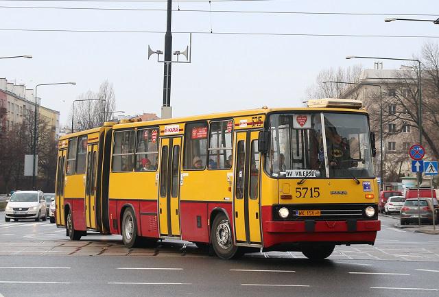 Autobusem linii P na piknik do Ogrodu Botanicznego