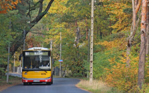 Autobus 161 w jesiennych kolorach - Wawe