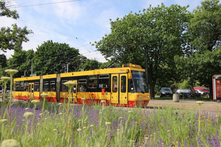 Ulica Jagiellońska bez tramwajów