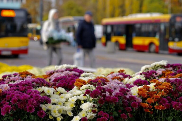 Zmiany w komunikacji przy cmentarzach